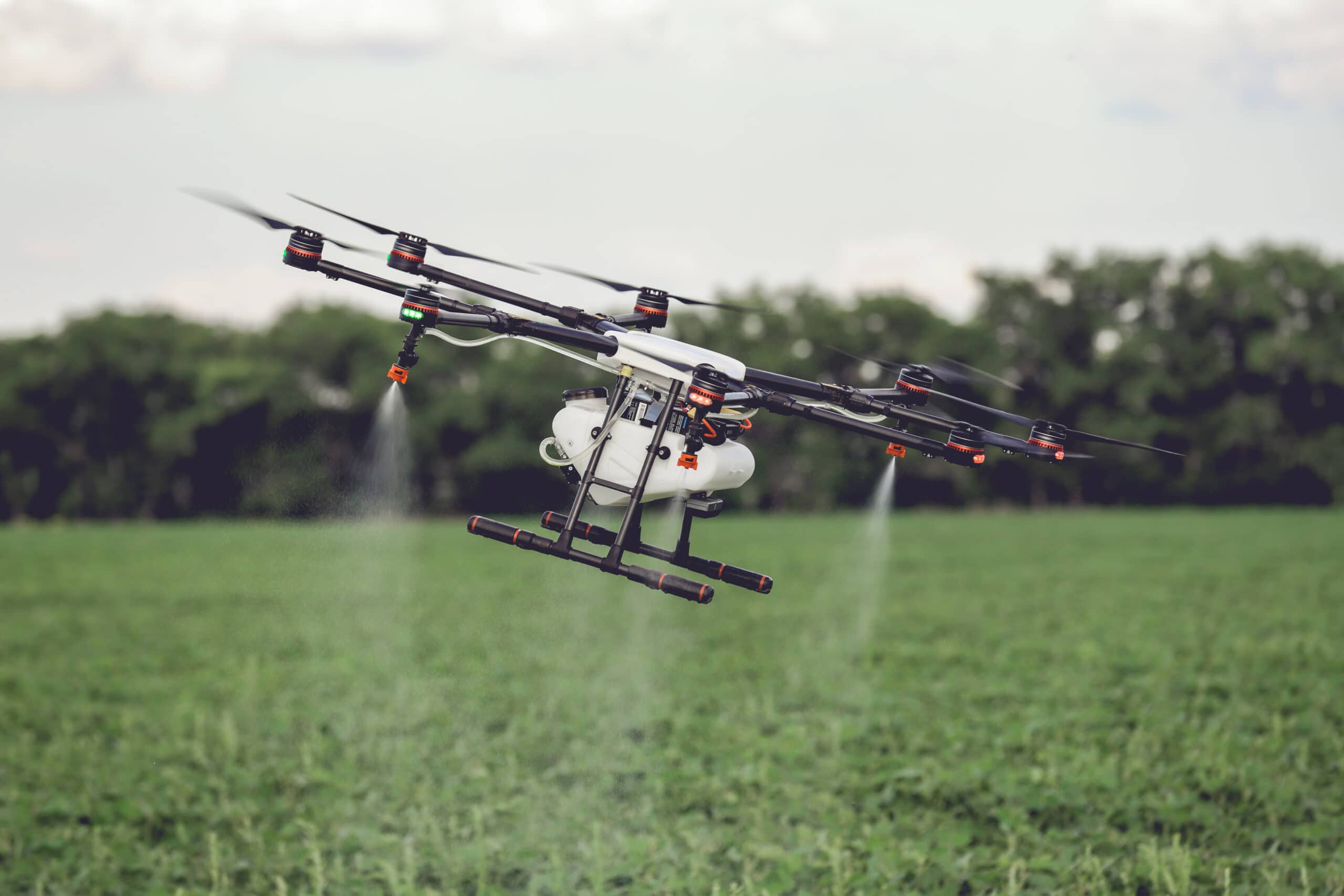 Agriculture,Drone,Fly,To,Sprayed,Fertilizer,On,The,Rice,Fields. Agriculture Drone Fly To Sprayed Fertilizer On The Rice Fields.