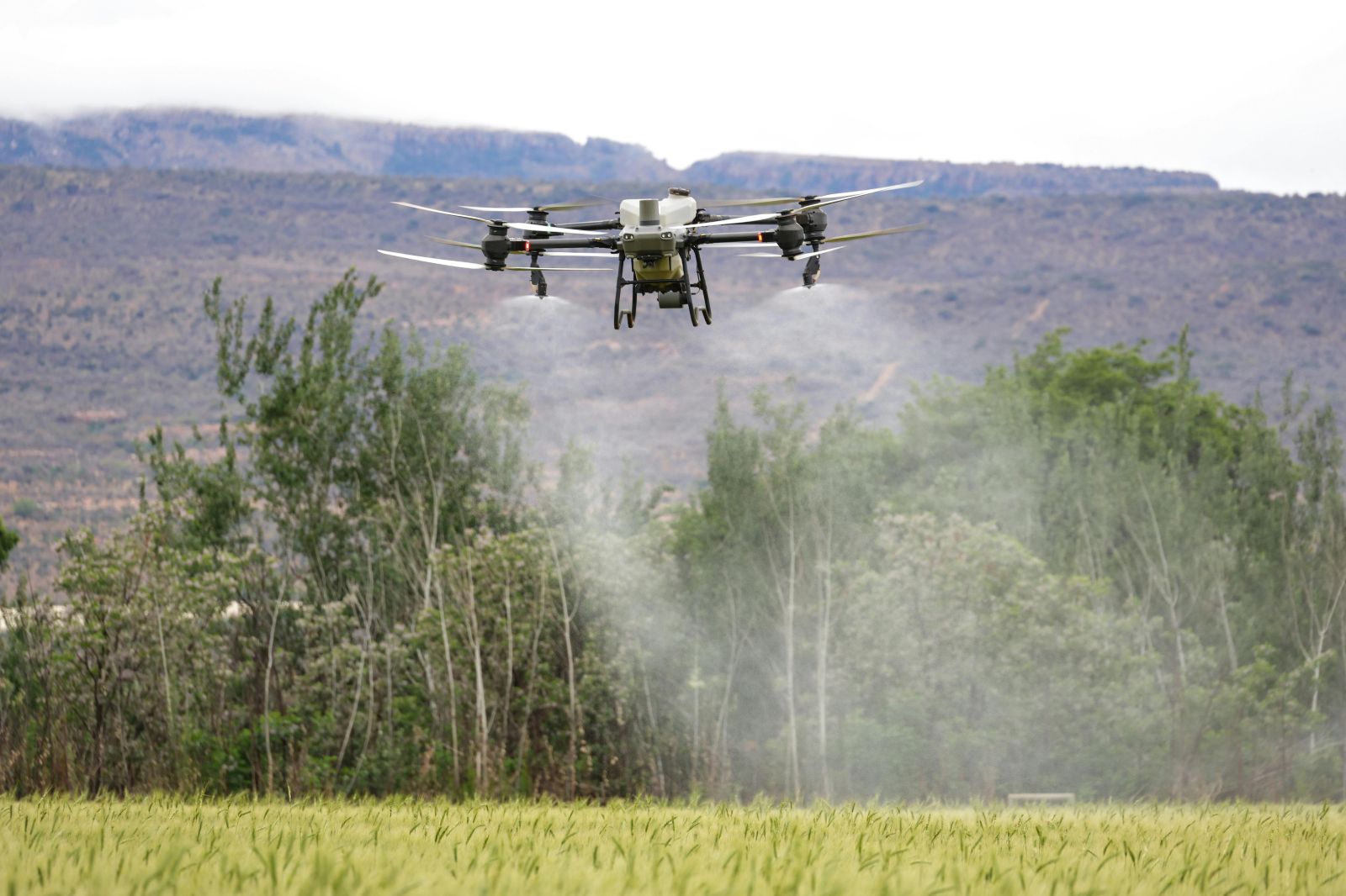 Crop Spray